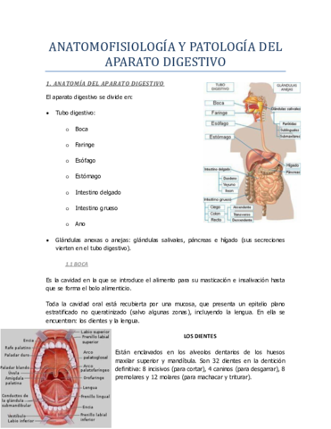 UD-10-parte-1--Aparato-digestivo.pdf