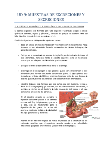 UD-9-Muestras-de-excreciones-y-secreciones.pdf