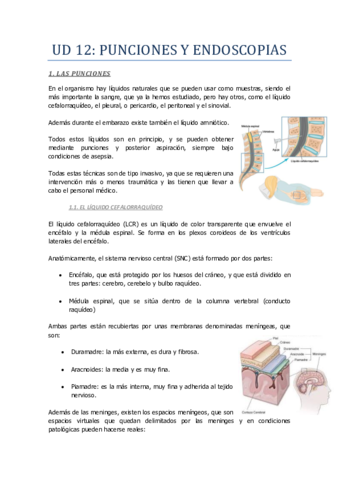 UD-12-Punciones-y-endoscopias.pdf