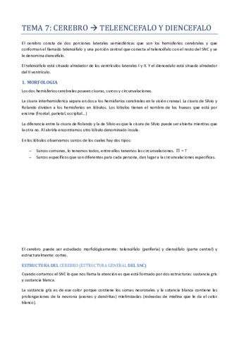Tema-7-Cerebro-telencefalo-y-diencefalo.pdf