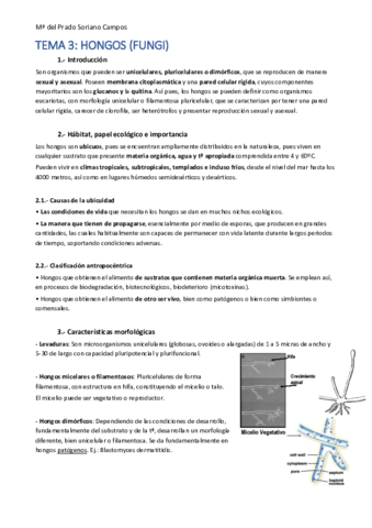 TEMA-3-HONGOS.pdf