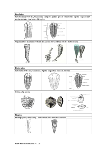 Tabla de fósiles.pdf