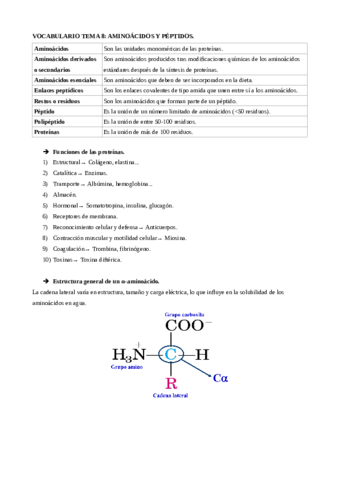 Vocabulario-tema-8.pdf