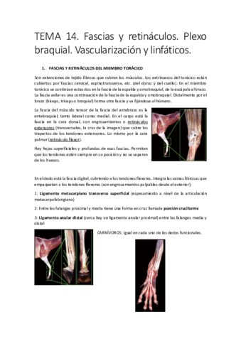 TEMA-14-convertido.pdf