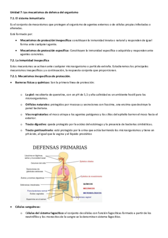 Unidad-7.pdf