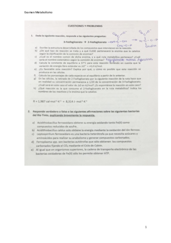 Examen-metabolismo.pdf