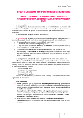 Tema 1 Y 2.pdf