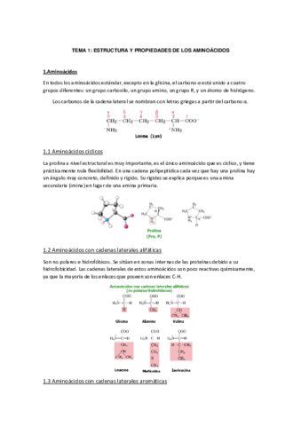 TEMA-1-EIP.pdf