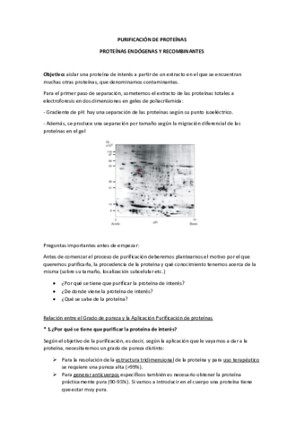 TEORIA-PRACTICA-2-EIP.pdf