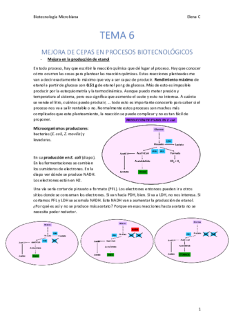 TEMA 6. Biotecnología microbiana