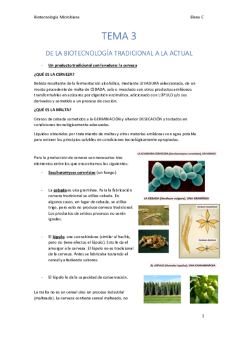 TEMA 3. Biotecnología microbiana