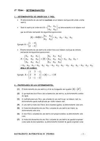 Determinantes-teoria-.pdf