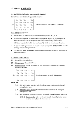 Matrices-teoria-.pdf