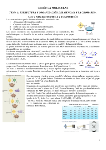 GENETICA-TEXTO-COMPLETO-FINAL.pdf