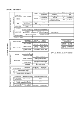 ENDOCRINO.pdf
