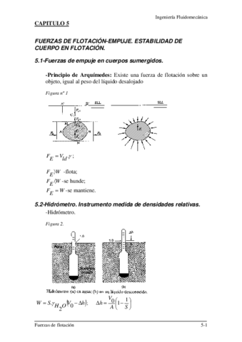 TEMA5fuerzasflotacion.pdf