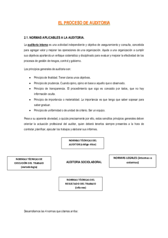 TEMA 2 TÉCNICAS DE AUDITORIA.pdf