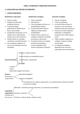 Tema 1_ Estrategia y dirección estratégica.pdf