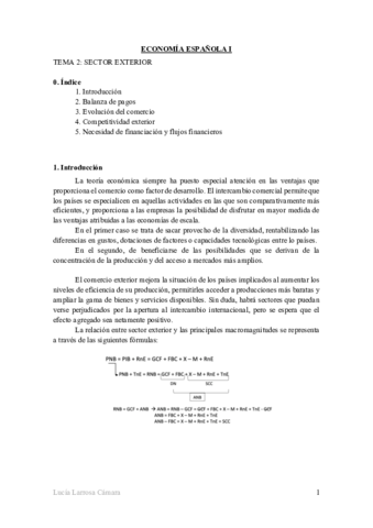 TEMA-2-REDACTADO.pdf