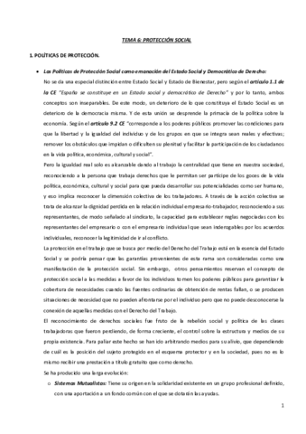 TEMA 6_PROTECCIÓN SOCIAL.pdf