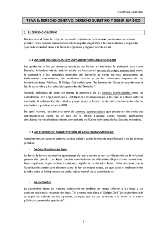 TEMA-5.pdf