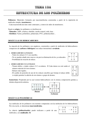 TEMA-13a.pdf
