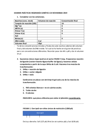 Examen-de-practicas-2019.pdf