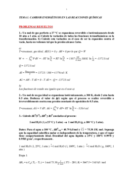 Problemas resueltosTema1.pdf