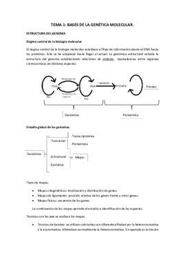 Tema 1.pdf