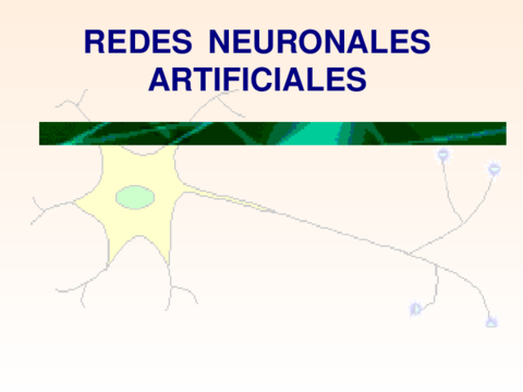 presentacionRNA111.pdf