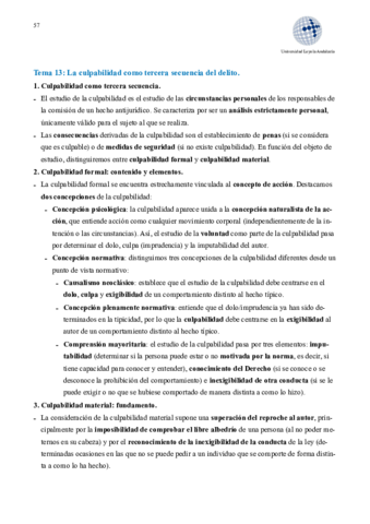 Tema-13.pdf