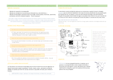 T1. Fitoquímicos.pdf