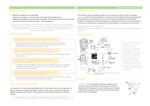 T1. Fitoquímicos.pdf