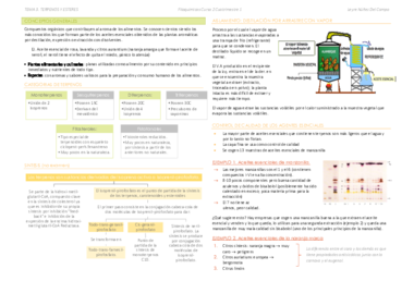 T3. Terpenos y Esteroides.pdf