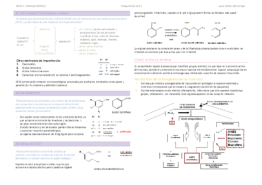 T4. Fenoles Simples.pdf