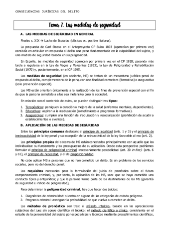 TEMA-7Consecuencias-juridicas.pdf