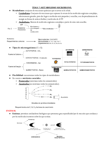 MICRO-TEMA-7.pdf