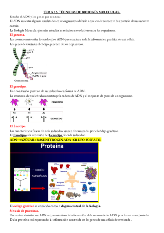 MICROBIOLOGIA-TEMA-15.pdf