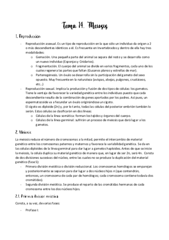Tema-14.pdf