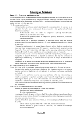 Gonzalo.pdf