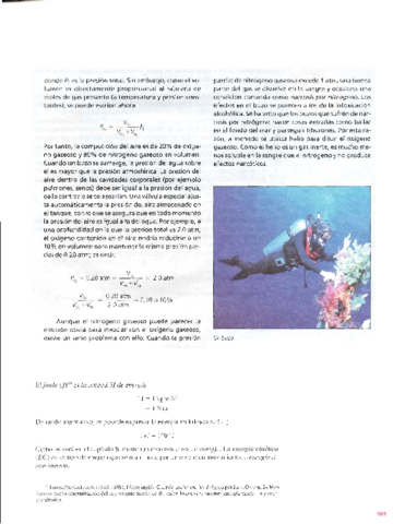 1.pdf
