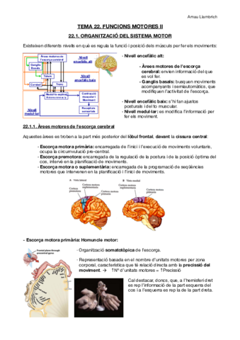 Apunts-Fisiologia-i-Fisiopatologia-I-Tema-22.pdf