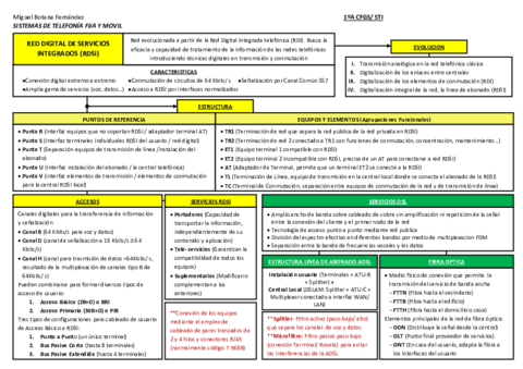 RESUMEN-ESQUEMA-RDSI-Miguel-Botana-Fernandez.pdf