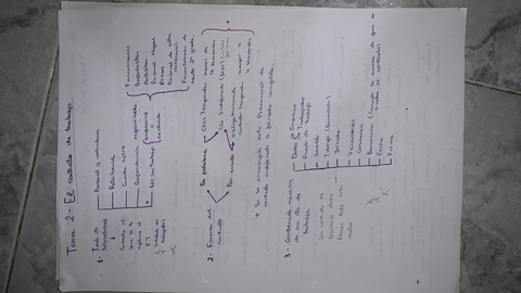 7D20026D-7A98-4D87-A894-BF0010F3BD48.jpg