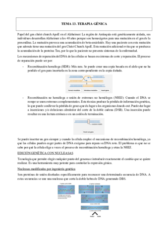 TEMA-13-PRODUCTOS-FARMACEUTICOS-DE-ORIGEN-BIOTECNOLOGICO.pdf