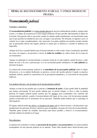 TEMA-11-RECONOCIMIENTO-JUDICIAL-Y-OTROS-MEDIOS-DE-PRUEBA-PROCESAL-CIVIL.pdf