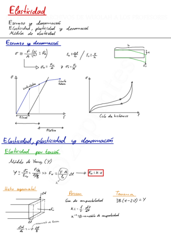 Elasticidad.pdf