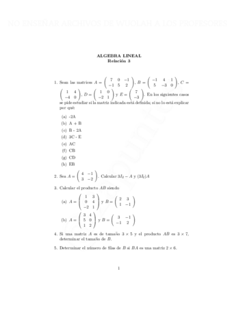 rel3-con-marca-de-agua-con-marca-de-agua.pdf