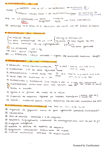 Preguntas-posibles-parcial-2.pdf