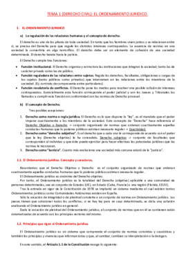 Resumen IDLT tema 1.pdf